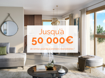 Lyon 3e ArrondissementHirundo