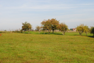 badinières rené (2)